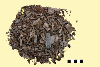 De crematieresten bestaan uit fragmenten verbrand bot. In veel gevallen zijn deze groot genoeg om de leeftijd, geslacht en soms ook ziektebeelden (voor zover zichtbaar op bot) te kunnen bepalen.